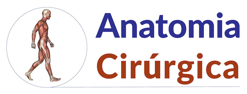Logo Curso de Anatomia Cirúrgica do Contorno Corporal